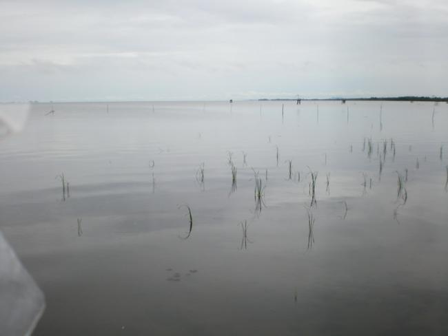 SANY7450.jpg